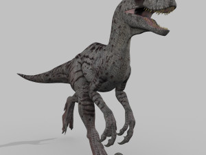 female alpha raptor - 8k 3D Модель