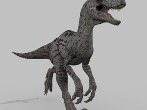 female alpha raptor - 8k 3D Model
