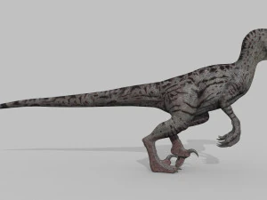 female alpha raptor - 8k 3D Model