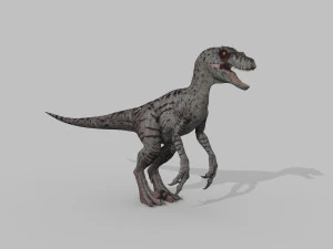 female alpha raptor - 8k 3D Model