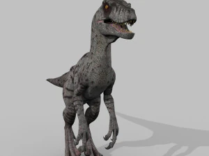 female alpha raptor - 8k 3D Model