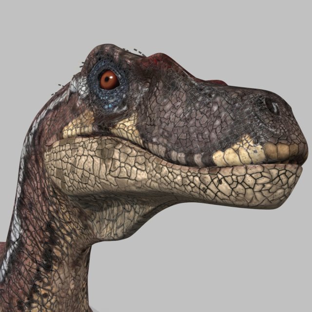 raptor forever - 8k Modelo 3D .c4d .max .obj .3ds .fbx .stl .blend 