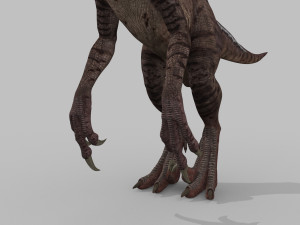 raptor forever - 8k Modelo 3D