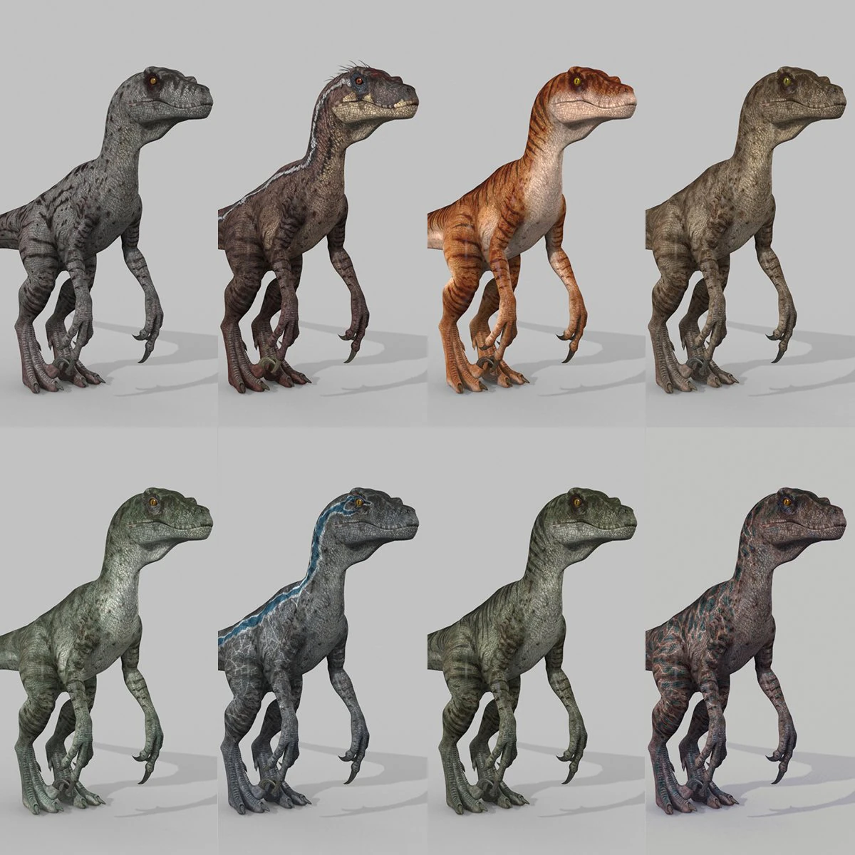 coleção de raptores extremos - 8k Modelo 3D .c4d .max .obj .3ds .fbx .stl .blend