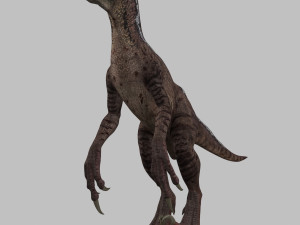extreme raptor collection - 8k 3D Model