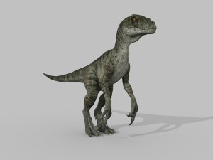 extreme raptor collection - 8k 3D Model