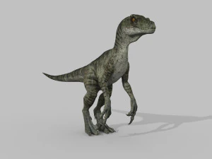 cole&ccedil;&atilde;o de raptores extremos - 8k Modelo 3D