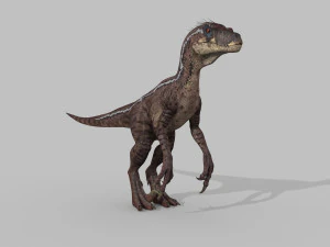 cole&ccedil;&atilde;o de raptores extremos - 8k Modelo 3D