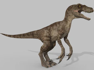 cole&ccedil;&atilde;o de raptores extremos - 8k Modelo 3D