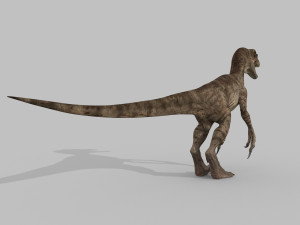 extreme raptor collection - 8k 3D Model