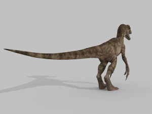 cole&ccedil;&atilde;o de raptores extremos - 8k Modelo 3D