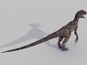 extreme raptor collection - 8k 3D Model