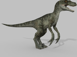 extreme raptor collection - 8k 3D Model