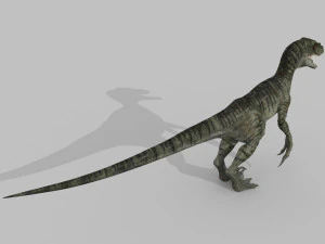 cole&ccedil;&atilde;o de raptores extremos - 8k Modelo 3D