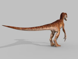 cole&ccedil;&atilde;o de raptores extremos - 8k Modelo 3D