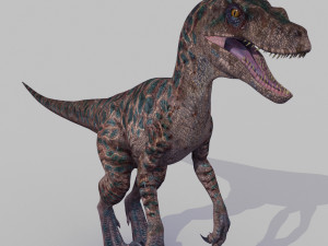 extreme raptor collection - 8k 3D Model