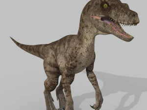 cole&ccedil;&atilde;o de raptores extremos - 8k Modelo 3D