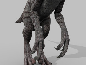 extreme raptor collection - 8k 3D Model