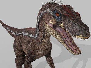 cole&ccedil;&atilde;o de raptores extremos - 8k Modelo 3D