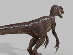 cole&ccedil;&atilde;o de raptores extremos - 8k Modelo 3D