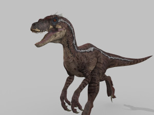 extreme raptor collection - 8k 3D Model