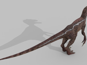 extreme raptor collection - 8k 3D Model
