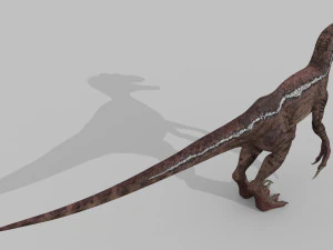 cole&ccedil;&atilde;o de raptores extremos - 8k Modelo 3D