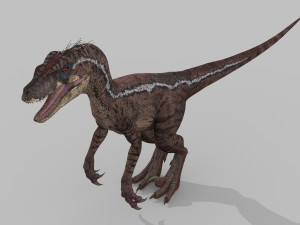 extreme raptor collection - 8k 3D Model