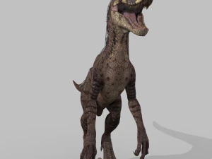 cole&ccedil;&atilde;o de raptores extremos - 8k Modelo 3D