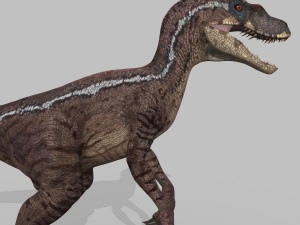 extreme raptor collection - 8k 3D Model