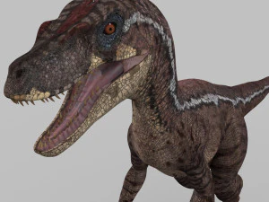 cole&ccedil;&atilde;o de raptores extremos - 8k Modelo 3D