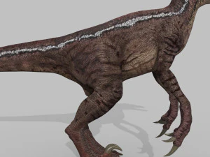 cole&ccedil;&atilde;o de raptores extremos - 8k Modelo 3D