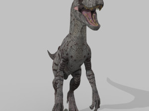 extreme raptor collection - 8k 3D Model