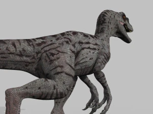 cole&ccedil;&atilde;o de raptores extremos - 8k Modelo 3D