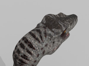 extreme raptor collection - 8k 3D Model