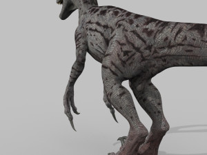 extreme raptor collection - 8k 3D Model