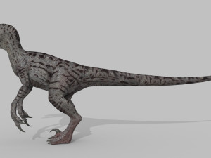 extreme raptor collection - 8k 3D Model