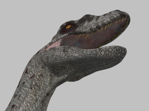 extreme raptor collection - 8k 3D Model