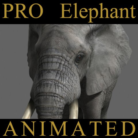 pro elephant - animated 3D Модель .c4d .max .obj .3ds .fbx .stl .blend 