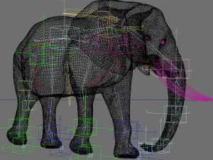 pro elefante - animato Modello 3D