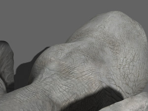 pro elephant - animated 3D Модель
