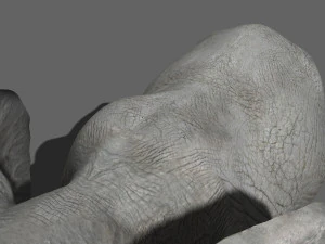 pro elefante - animato Modello 3D