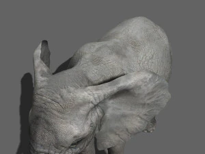 pro elefante - animato Modello 3D