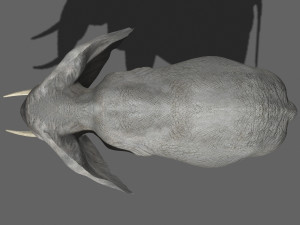 pro elephant - animated 3D Модель