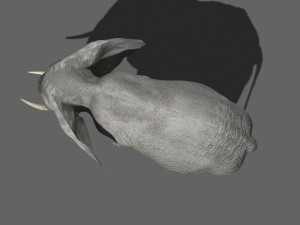 pro elephant - animated 3D Модель