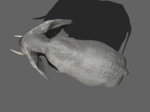 pro elefante - animato Modello 3D