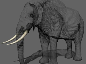 pro elefante - animato Modello 3D