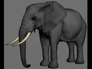 pro elefante - animato Modello 3D
