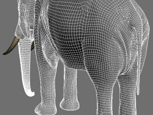 pro elefante - animato Modello 3D