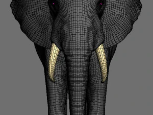pro elefante - animato Modello 3D